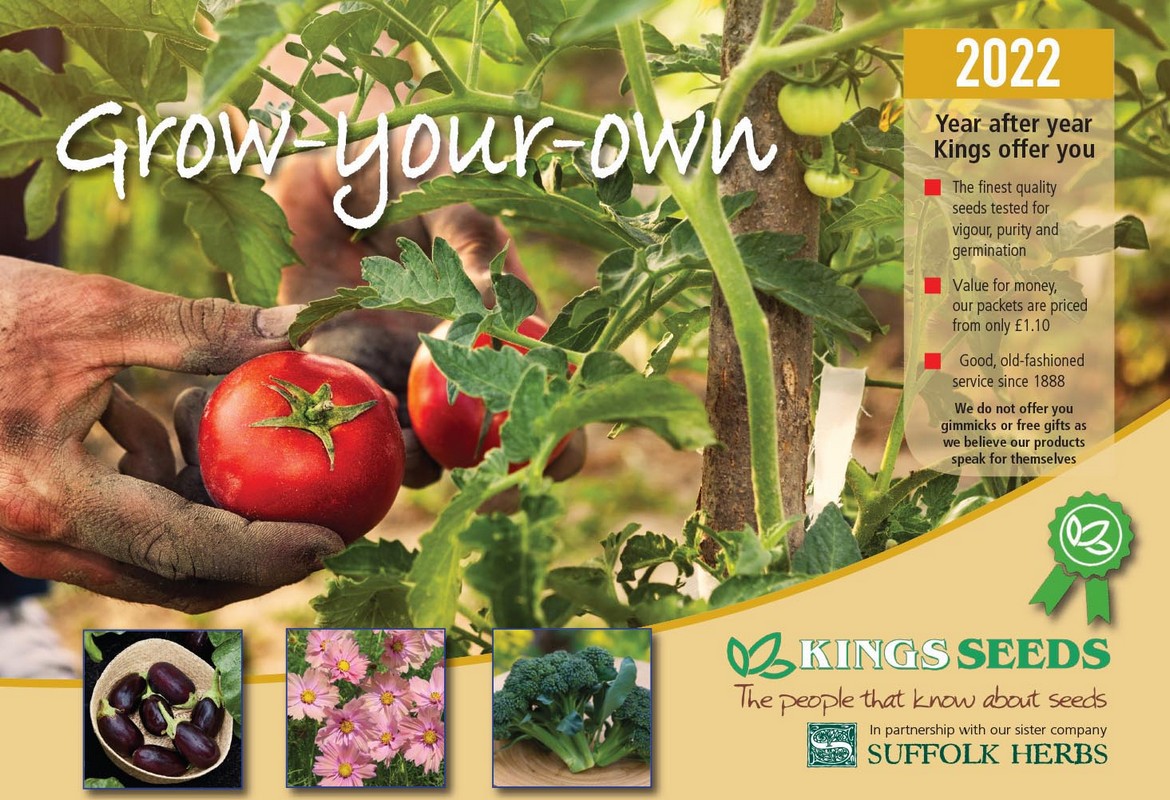 Getting Excited My Kings Seeds Arrived Today